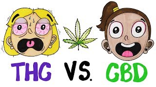 THC vs CBD Whats In Your Weed [upl. by Kally]