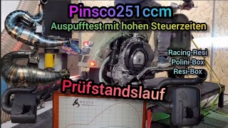 Pinasco251 Auspuff Test Prüfstand ResiBox PoliniBox RacingResi Gubby [upl. by Paehpos]