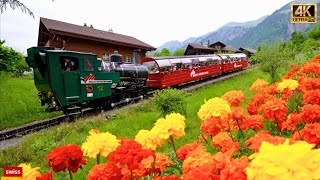 🏠🌷🇨🇭 Brienz the Most Beautiful Village in Switzerland 🇨🇭 🌺 Swiss Valley 🌸  swiss swissview [upl. by Fisuoy]