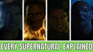 Every Supernatural Species In TEEN WOLF Explained  A Definitive Guide [upl. by Figueroa141]