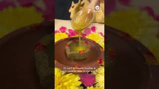 Easy amp Simple Daily Ganapathy Homam is in your space with Greymode Maadu Uruli  Try it [upl. by Atirahc]