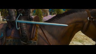 Toussaint Ducal Guardsmans steel sword diagram location Witcher 3 [upl. by Pavkovic]