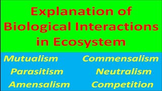 Explanation of Biological Interactions in Ecosystem [upl. by Anirtek]