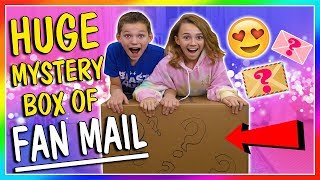 HUGE MYSTERY BOX OF FAN MAIL  We Are The Davises [upl. by Barbe876]