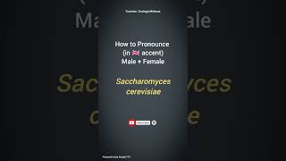 Saccharomyces cerevisiae Pronunciation  Microbiology Pronunciation Guide  Biological Names [upl. by Junie986]