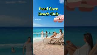 Pearl Cove Beach Club [upl. by Pestana]