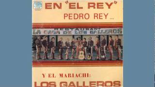 Mariachi Los Galleros de Pedro Rey Grande Grande Grande [upl. by Epps4]