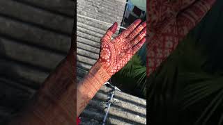 100 Organic Henna Cones♥️Fresh Paste👀 simple mehndidesign comment like please art love [upl. by Baum]