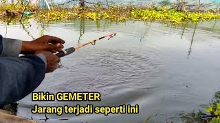 INI MUSTAHIL Mancing disungai dapat ikan mas indukan berkali kali warnanya hitam semua [upl. by Haraj]