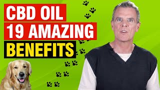 Benefits of Full Spectrum CBD Oil For Dogs 19 CONFIRMED Medical Benefits [upl. by Hedda]