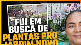 fui numa floricultura em busca de plantas pro novo jardim 🏡😍🙏vem comigo [upl. by Nelyahs]