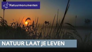 Natuur laat je leven maar waarom [upl. by Ardnasak]