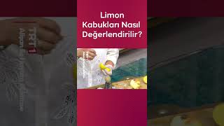 Limon Kabukları Nasıl Değerlendirilir 🍋 Meltem Açıkel Anlatıyor  Alişan ve Dr Murat Topoğlu [upl. by Norbel197]