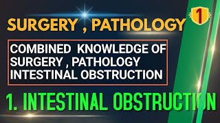 1 INTESTINAL OBSTRUCTION  Bowel Obstruction  Small Bowel Obstruction  Large Bowel Obstruction [upl. by Ariayek]