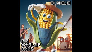 DJ MIELIE  Die Waslap Dans [upl. by Fabrice983]