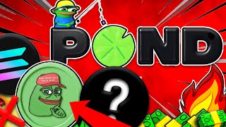 POND COIN  POND Staking DeFI Comparison Price Review Comparison TO PEPE Coin [upl. by Langille]