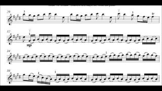 Vivaldi Concerto in E Major Spring violin sheet music [upl. by Drofdarb]