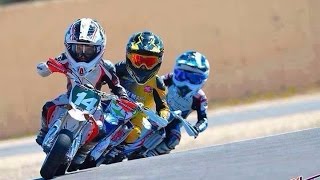 AMA 5 year old racing Cobra 50cc Dirtbike round 5 TWMM [upl. by Lerud]