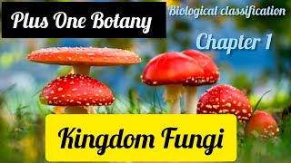 Plus One BotanyBiological classificationKingdom Fungi [upl. by Hanad475]