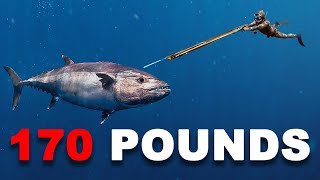 Spearfishing GIANT Dogtooth Tuna 90 ft Deep [upl. by Eiramenna]