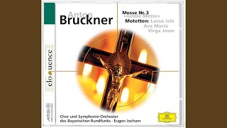 Bruckner Virga Jesse Motet  WAB 52 [upl. by Tamer303]