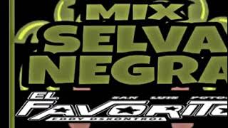 Selva Negra Mix [upl. by Timothy678]