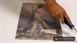 Using Timeless Varnish to Protect Fine Art Paper Prints [upl. by Noiram]