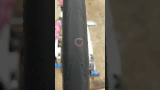 1000 Miles on Hutchinson Fusion 5 Performance 28c Tubeless [upl. by Howard]