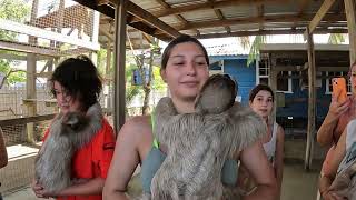 Sloth Hangout Roatan Honduras 2022 pt 2 [upl. by Burleigh]