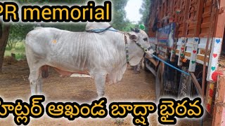 PR memorial బాద్షా భైరవ [upl. by Alig]