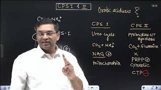 Link between Urea cycle and Pyrimidine NT synthesis  CPS 1 and 2 Orotic aciduria in Type 2 UCD [upl. by Naitsirt]