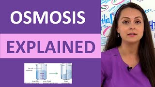 Osmosis Explained Solutes and Osmolarity  What is Osmosis Nursing School Review NCLEX [upl. by Hultgren]