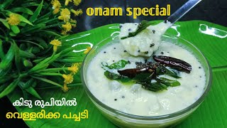 ഓണം സ്പെഷ്യൽ പച്ചടി 😋വെള്ളരിക്ക പച്ചടി ഇത് പൊളിയാണ് vellarikka pachadi  onam special [upl. by Alyakcm659]