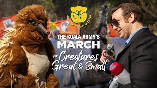 Hear from the Koala Army in Canberra [upl. by Nodearb96]