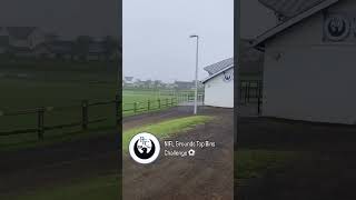 officialnifl Grounds Smallest Top Bin Challenge Ground 1  Portstewart FC topbins NIFL [upl. by Ahsiuqal879]