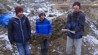 12yearold makes significant dinosaur discovery near Drumheller [upl. by Scandura604]