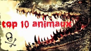 Top 10 des animaux les plus dangereux  mortels [upl. by Bumgardner]