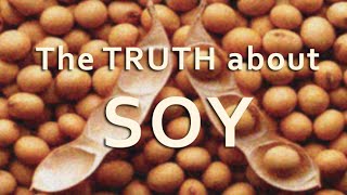 The Truth about SOY and estrogens [upl. by Manly]