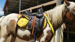 Hilason Synthetic Western Treeless Saddle review part 2 [upl. by Arbrab]