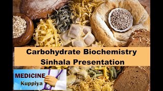 Carbohydrate Biochemistry Sinhala Presentation [upl. by Yezdnil]