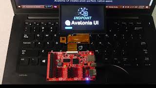 Avalonia UI on Endpoint Domino [upl. by Manus]