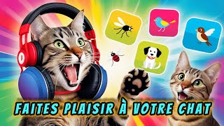 Les sons préférés des chats  comment attirer un chat  GARANTI [upl. by Cappello]