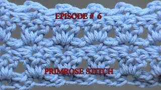 Stitch Gallery amp Glossary Episode 6 Primrose Stitch [upl. by Blalock329]