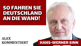 Schluss mit lustig hanswernersinn unternehmer kollaps crash energiepolitik mittelstand geld [upl. by Bullen]