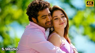 Niharika 4k Video Song  Oosaravelli Movie  Jr NTR Tamanna [upl. by Weingartner]