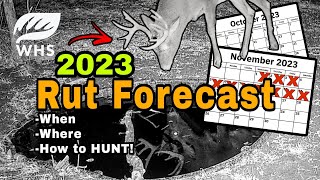 2023 Whitetail Rut Forecast [upl. by Abra140]