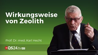 Zeolith im Körper Wirkungsweise nach der Einnahme  Prof em Prof Dr med Karl Hecht  QS24 [upl. by Bobbi]