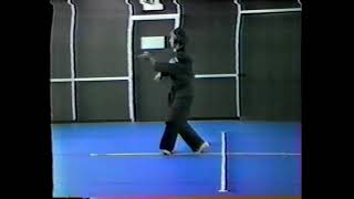 American Kenpo Snapping Twig extension [upl. by Lyreb]