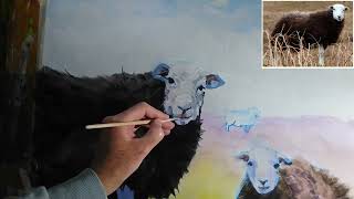 Herdwick sheep painting  part 6 [upl. by Davilman61]