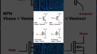 TRANSISTORES NPN y PNP  Diferencia fundamental shorts [upl. by Greff132]